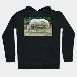 Draft Horse Hoodie